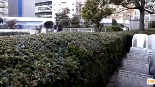 欧美变态另类刺激bdsm_欧美亚洲精品成人视频